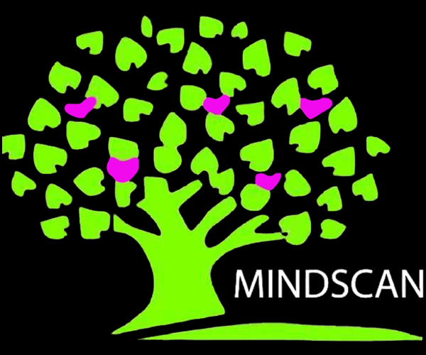 Mind Scan Centre